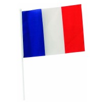Drapeau France fanion personnalisé pour supporter